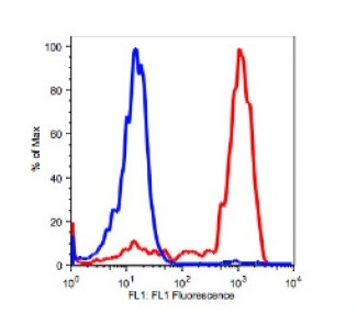 Anti-Human CD11b Antibody FITC Conjugated, Flow Validated FC00144-FITC