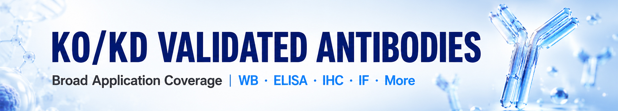 KO/KD-Validated Antibodies