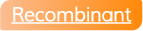 recombinant