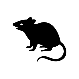 blk-mouse-icon