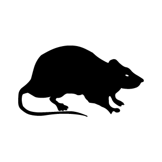 blk-rat-icon