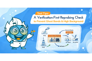 Western Blot Stripping Buffer Protocol
