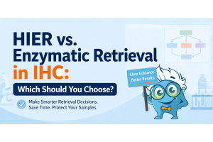 alt="Infographic comparing HIER and enzymatic retrieval in IHC with headline 'Which Should You Choose?' and a lab-themed illustration"