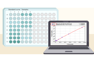 How to Analyze ELISA Data and Calculate Results: Step-by-Step Guide with Troubleshooting Tips