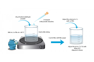 How to prepare a 4% Paraformaldehyde (PFA) Solution in PBS