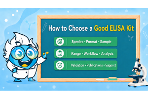 How to Choose a Good ELISA Kit