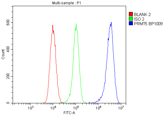 Figure 2. Flow Cytometry analysis of 293T cells using anti-PRMT5 antibody (A00635-1). Overlay histogram showing 293T cells stained with A00635-1 (Blue line). To facilitate intracellular staining, cells were fixed with 4% paraformaldehyde and permeabilized with permeabilization buffer. The cells were blocked with 10% normal goat serum. And then incubated with rabbit anti-PRMT5 Antibody (A00635-1,1microg/1x106 cells) for 30 min at 20°C. DyLight®488 conjugated goat anti-rabbit IgG (BA1127, 5-10microg/1x106 cells) was used as secondary antibody for 30 minutes at 20°C. Isotype control antibody (Green line) was rabbit IgG (1microg/1x106) used under the same conditions. Unlabelled sample without incubation with primary antibody and secondary antibody (Red line) was used as a blank control.