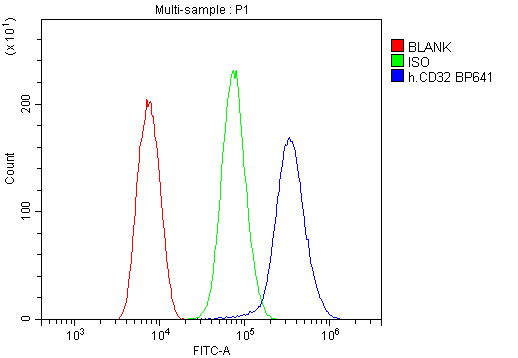 Flow Cytometry analysis of THP-1 cells using anti-FCGR2A antibody (A01450-1). Overlay histogram showing THP-1 cells stained with A01450-1 (Blue line).The cells were blocked with 10% normal goat serum. And then incubated with rabbit anti-FCGR2A Antibody (A01450-1,1μg/1x106 cells) for 30 min at 20°C. DyLight®488 conjugated goat anti-rabbit IgG (BA1127, 5-10μg/1x106 cells) was used as secondary antibody for 30 minutes at 20°C. Isotype control antibody (Green line) was rabbit IgG (1μg/1x106) used under the same conditions. Unlabelled sample (Red line) was also used as a control.