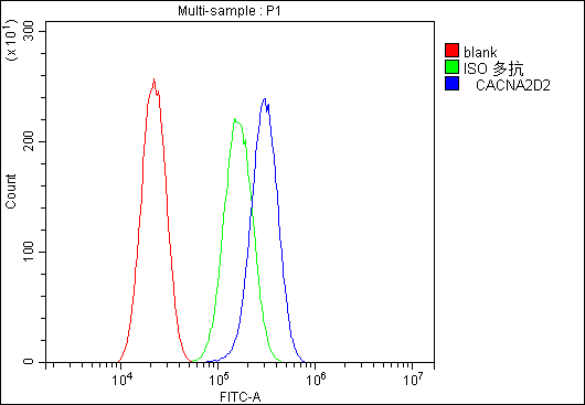 Flow Cytometry analysis of A549 cells using anti-CACNA2D2 antibody (A01560-1). Overlay histogram showing A549 cells stained with A01560-1 (Blue line).The cells were blocked with 10% normal goat serum. And then incubated with rabbit anti-CACNA2D2 Antibody (A01560-1,1μg/1x106 cells) for 30 min at 20°C. DyLight®488 conjugated goat anti-rabbit IgG (BA1127, 5-10μg/1x106 cells) was used as secondary antibody for 30 minutes at 20°C. Isotype control antibody (Green line) was rabbit IgG (1μg/1x106) used under the same conditions. Unlabelled sample (Red line) was also used as a control.
