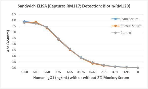  ELISA result showing specificityDetection of human IgG1 in monkey serum, using RM117 (capture) and biotin-RM129 (detection) as a Sandwich ELISA pair