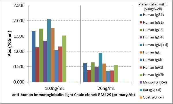  ELISA result showing specificityELISA showing RM129 reacts only to kappa and lambda light chain of all human immunoglobulins, not to mouse IgG, rat IgG, or goat IgG