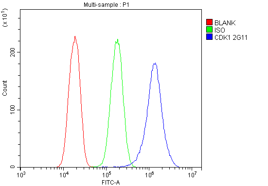 M00209 6 CDK1 primary antibodies FC testing 7