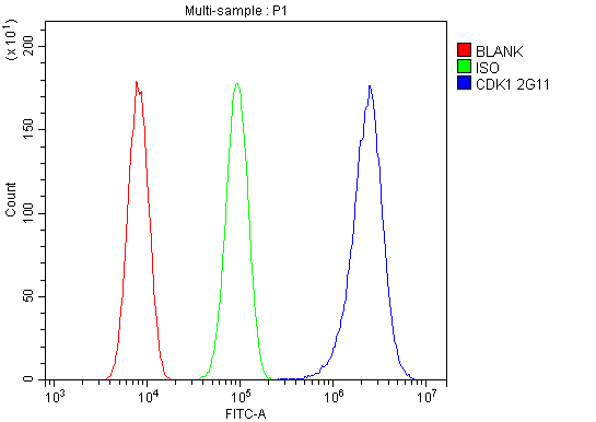 M00209 6 CDK1 primary antibodies FC testing 8