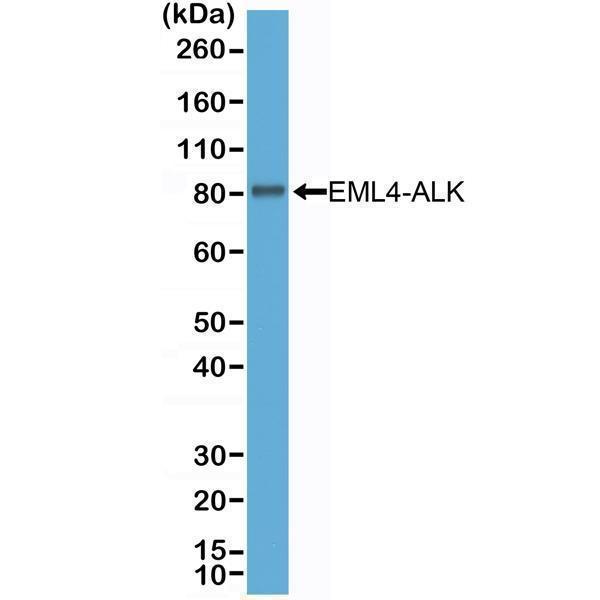 M00301 1 WB test result image 1