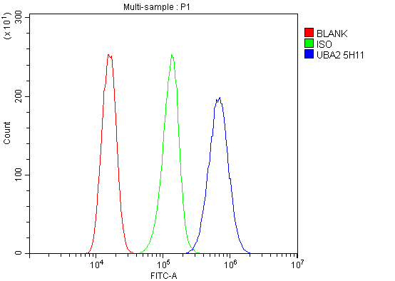 M03816 1 UBA2 primary antibodies FC testing 2