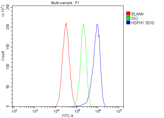 M04168 1 HSPH1 primary antibodies FC testing 7