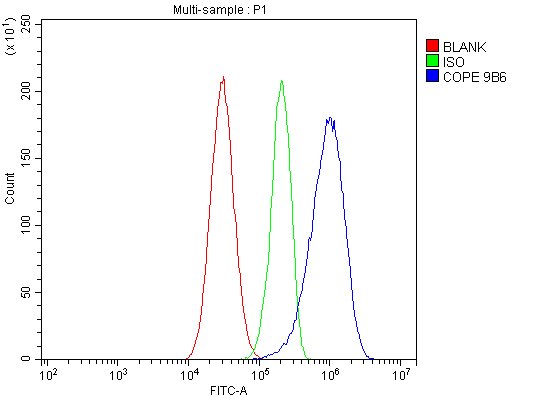 M04544 COPE primary antibodies FC testing 9