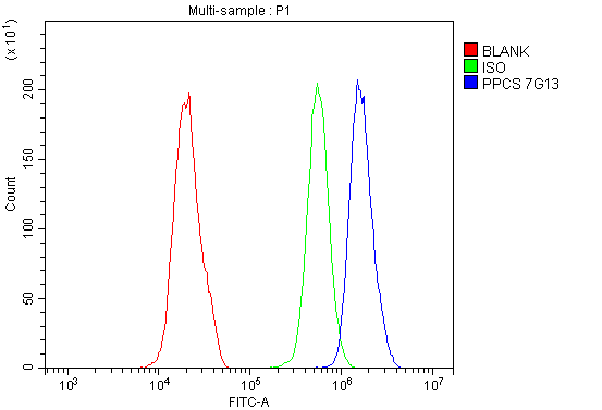 M05567 PPCS primary antibodies FC testing 6