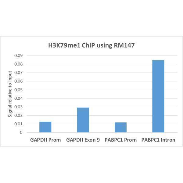 M06819 10 ChIP test result image 3