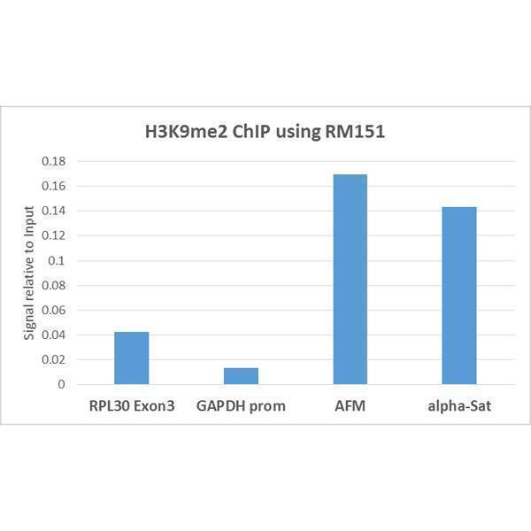 M06819 14 ChIP test result image 4