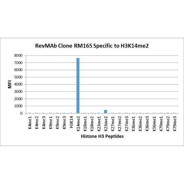 M06819 15 Specificity test result image 2