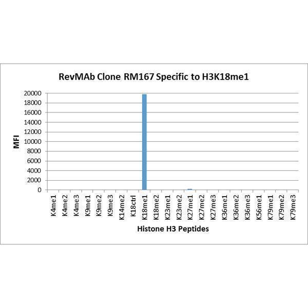 M06819 21 WB test result image 1
