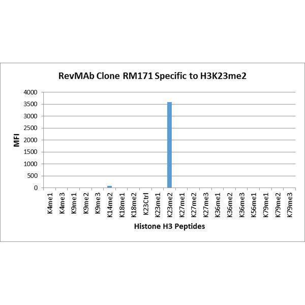 M06819 22 Specificity test result image 2