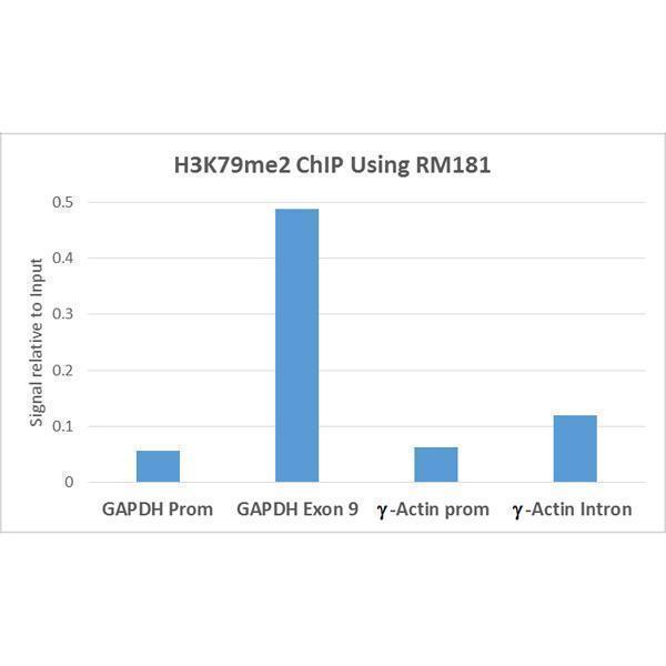 M06819 23 ChIP test result image 4
