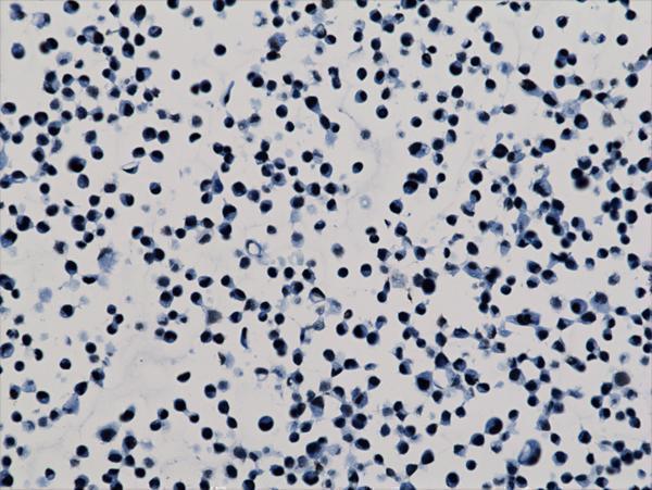M06819 23 IHC test result image 3