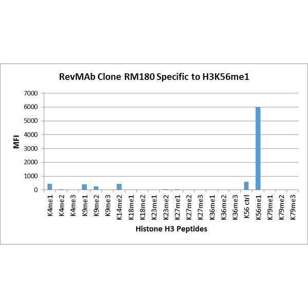 M06819 26 Specificity test result image 2