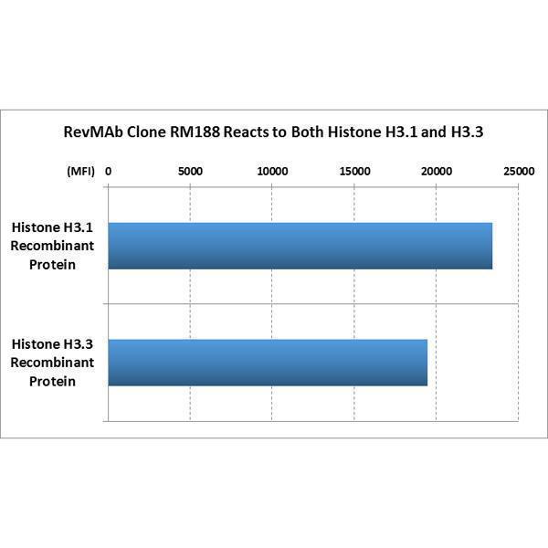 M06819 28 Specificity test result image 5