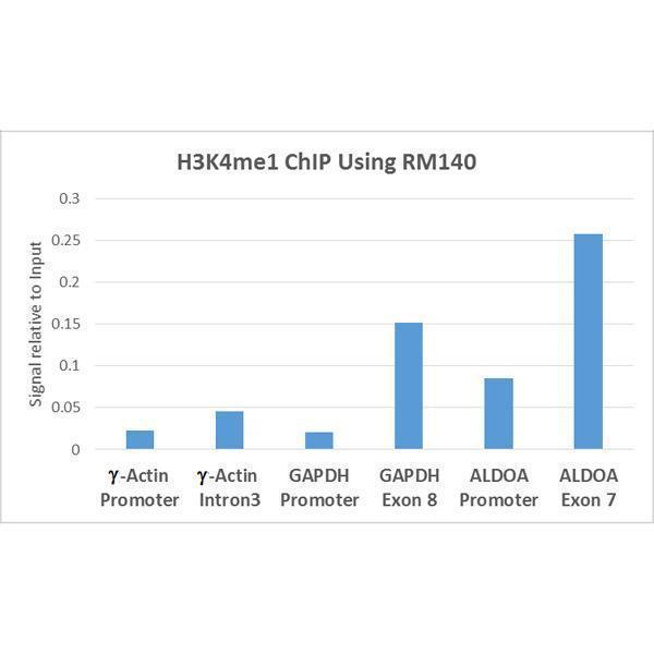 M06819 3 ChIP test result image 4