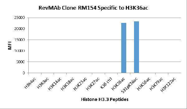 M06819 8 Specificity test result image 2
