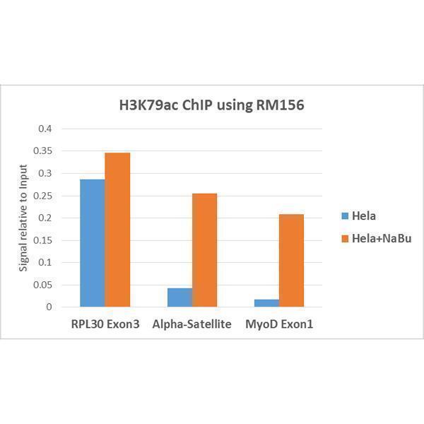 M06819 9 ChIP test result image 5