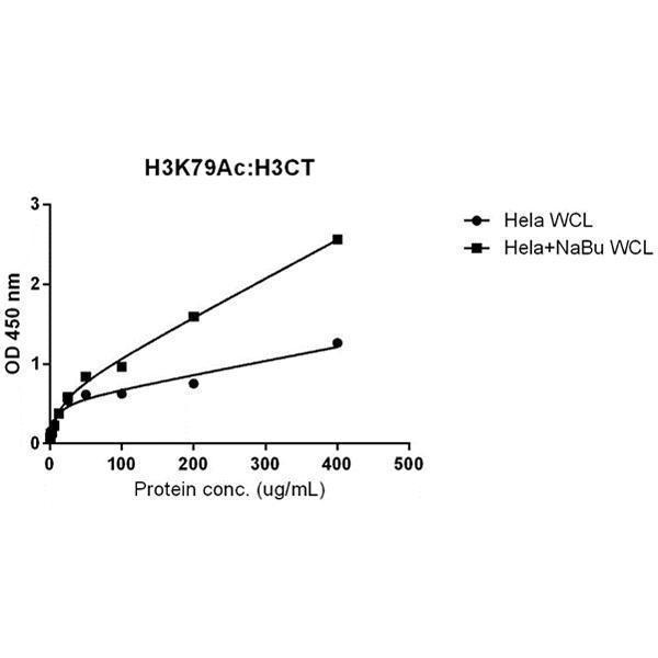 M06819 9 ELISA test result image 4