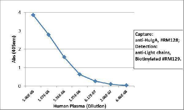  ELISA result showing specificitySandwich ELISA using RM128 as the capture antibody (100ng/well), and Biotinylated anti-human light chains (+) antibody RM129 as the detection antibody, followed by an alkaline phosphatase conjugated streptavidin