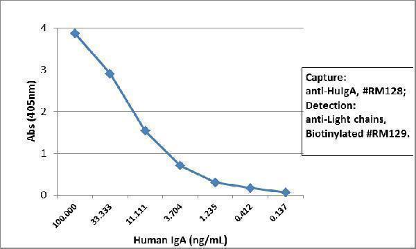  ELISA result showing specificitySandwich ELISA using RM128 as the capture antibody (100ng/well), and Biotinylated anti-human light chains (+) antibody RM129 as the detection antibody, followed by an alkaline phosphatase conjugated streptavidin