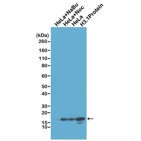 M08865 WB test result image 1