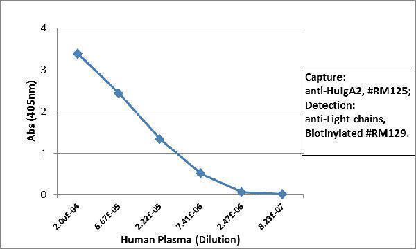  ELISA result showing specificitySandwich ELISA using RM125 as the capture antibody (100ng/well), and Biotinylated anti-human light chains (+) antibody RM129 as the detection antibody, followed by an alkaline phosphatase conjugated streptavidin