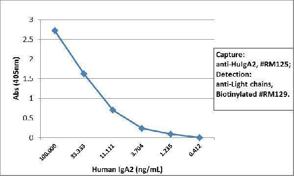  ELISA result showing specificitySandwich ELISA using RM125 as the capture antibody (100ng/well), and Biotinylated anti-human light chains (+) antibody RM129 as the detection antibody, followed by an alkaline phosphatase conjugated streptavidin