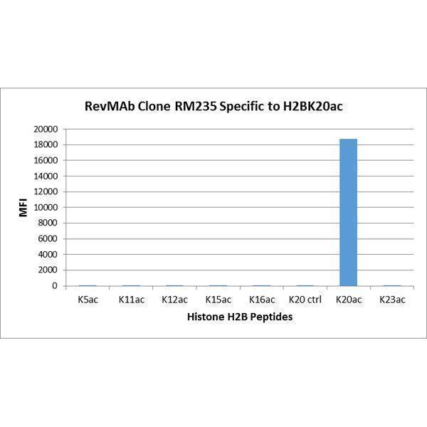  Specificity Test resultRM235 specifically reacts to Histone H2B acetylated at Lysine 20 (K20ac)