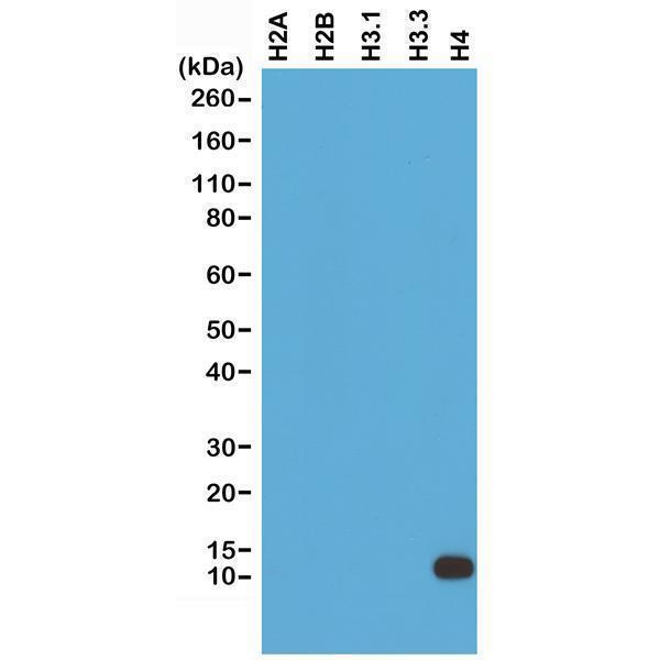 M14495 12 ICC test result image 1