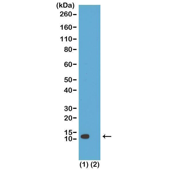 M14495 9 WB test result image 1