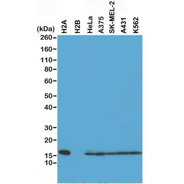 M16777 4 WB test result image 1