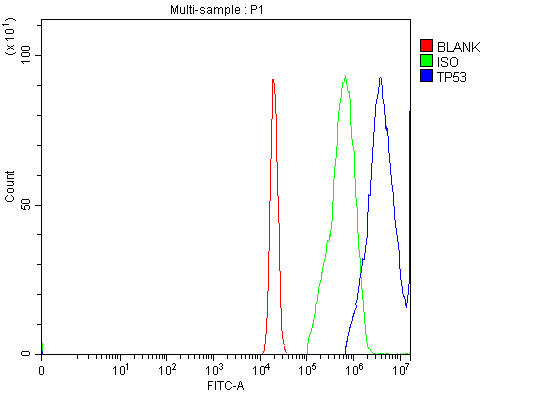 a00001 2 tp53 primary antibodies fcm testing 4