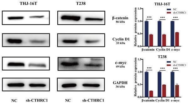 a00004 fig 6 1x