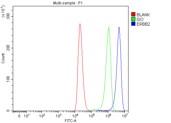 a00010 5 erbb2 primary antibodies fcm testing 3