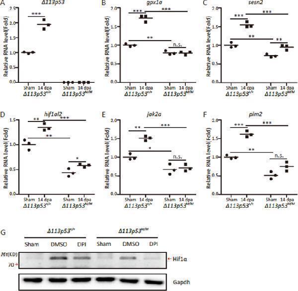 a00013 1 41419_2020_2781_fig6_html