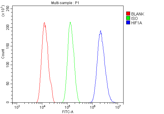 a00013 3 hif 1a primary antibodies fcm testing 6