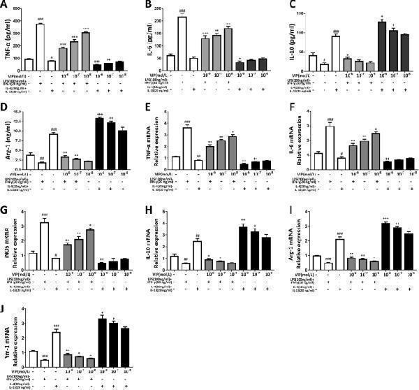 a00021 3 13020_2021_562_fig4_html